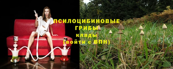 метадон Алексеевка